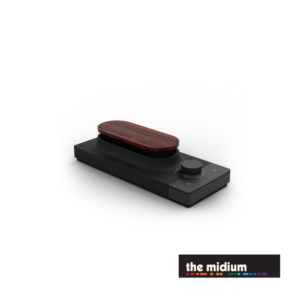 Expressive E Touché MIDI CV and USB controller | The Midium